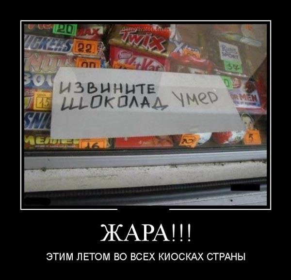 ТОП лучших демотиваторов про лето и жару