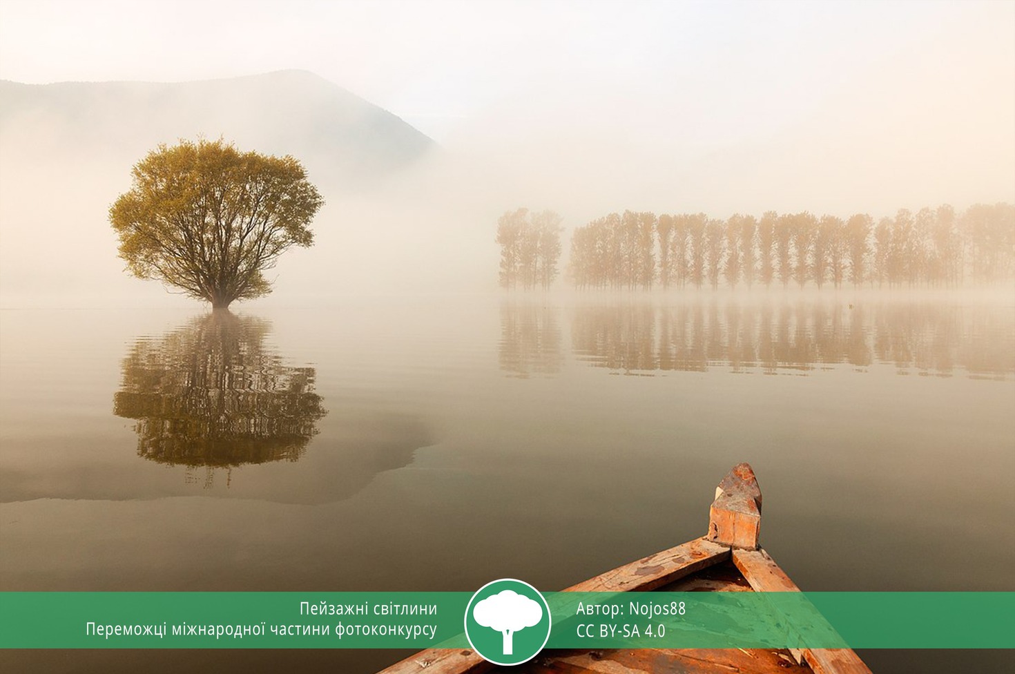 найкращі фото природи 2021