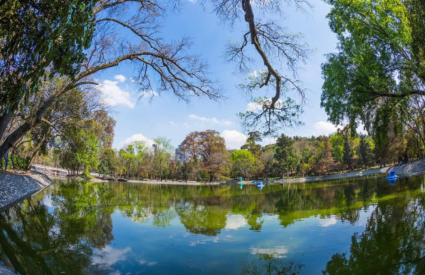 Парк Чапультепек, Мехіко, Мексика