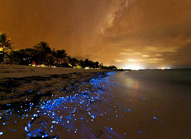 Море звезд на Мальдивах