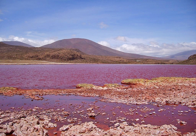 Червона лагуна в Чилі