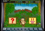 Бонусный уровень на игровом аппарате Обезьянки (Crazy Monkey)