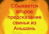 Сбывается второе предсказание свиньи из Аньшань  
