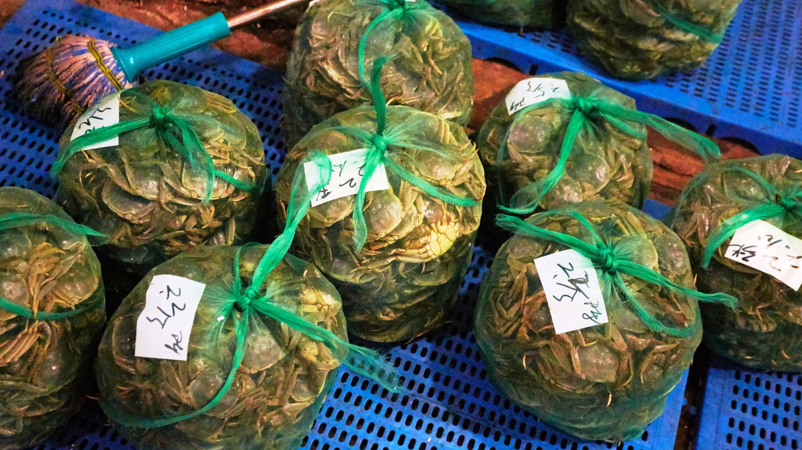 Інший Всесвіт очима популярного фотографа Андрія Саримсакова. Шанхай