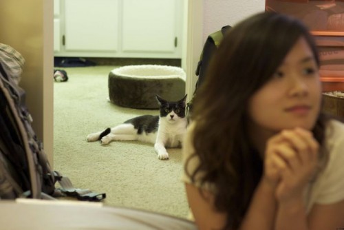 Фото - приколы