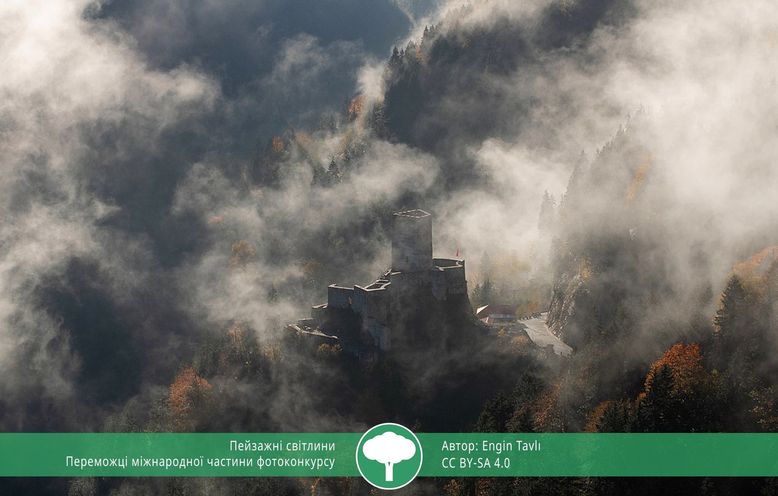 найкращі фото природи 2021