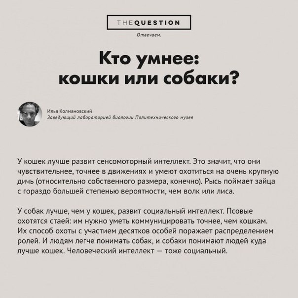 Вопросы, которые не дают спокойно спать