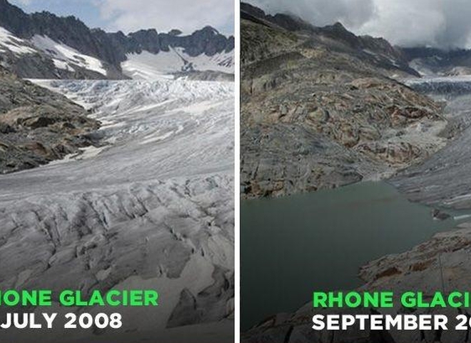 #10YearChallenge у природі