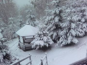 У Буковелі випав перший сніг