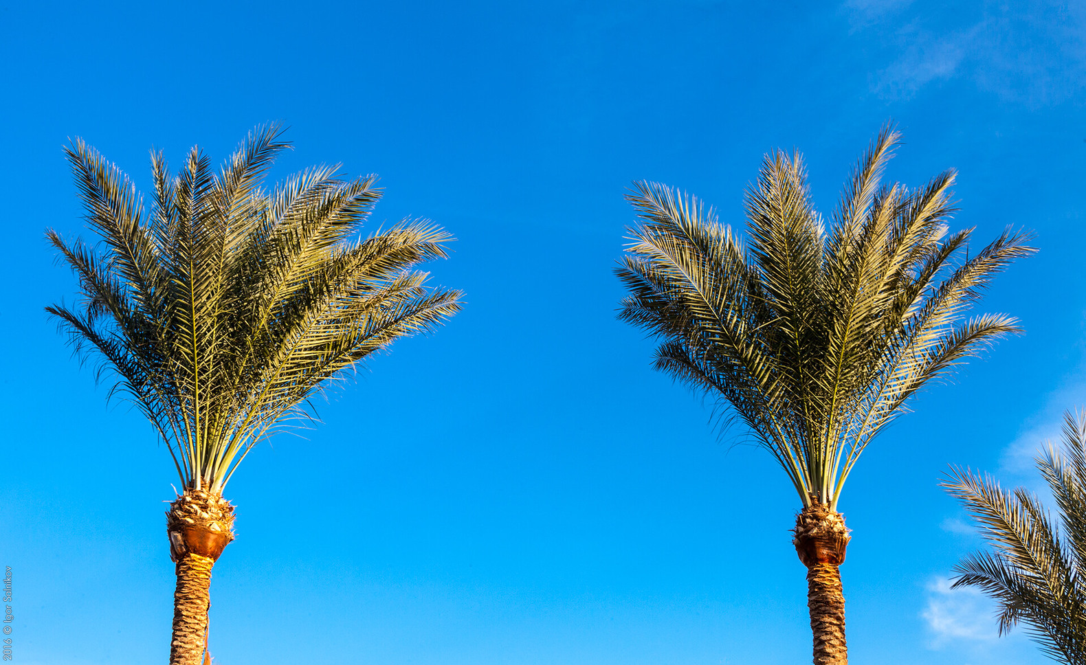 Египет, отель Jaz Makadina