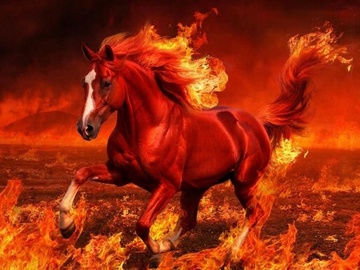 Рік Вогняного Коня: час великих змін та неймовірної удачі для 4 знаків