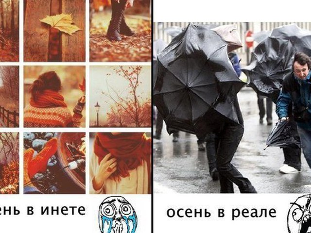 Для, супер смешные картинки с надписями до слез про осень
