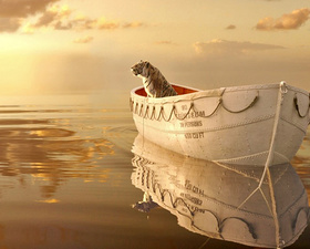 кадры из фильма Жизнь Пи