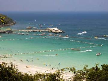 В Таиланде из‑за нашествия ядовитых медуз закрывают пляжи