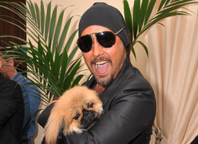 Вечеринка Четвероногий гламур