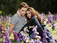 Сумерки. Сага. Рассвет. Часть 2