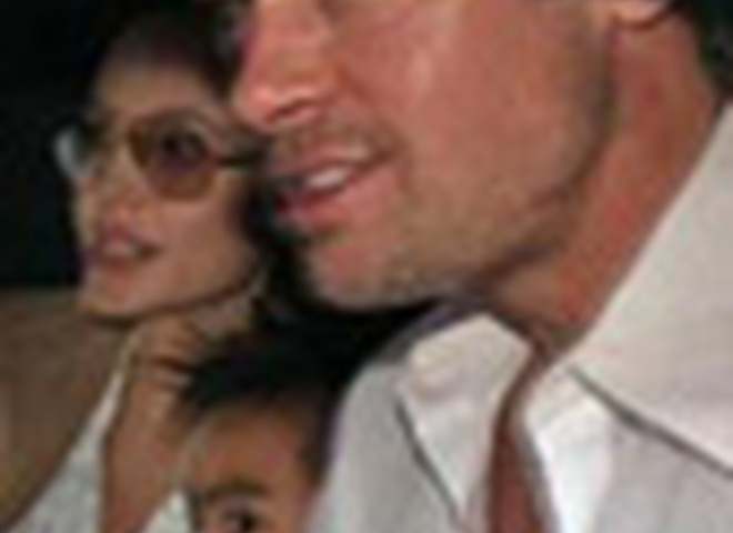 Питт займётся архитектурой, а Джоли воспитанием детей!