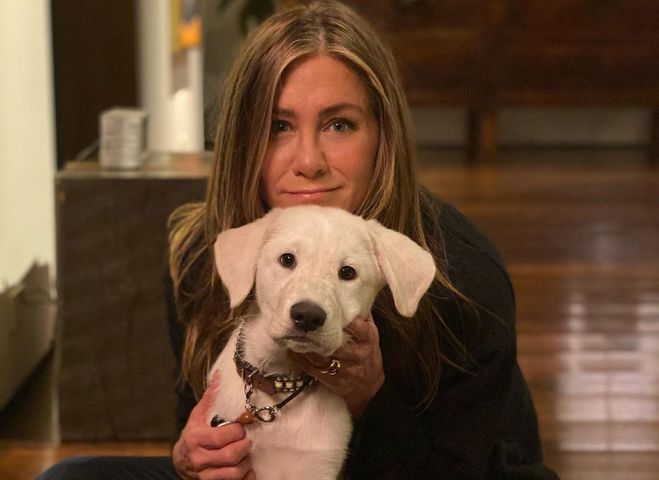 Дженніфер Еністон