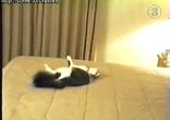 КОТ