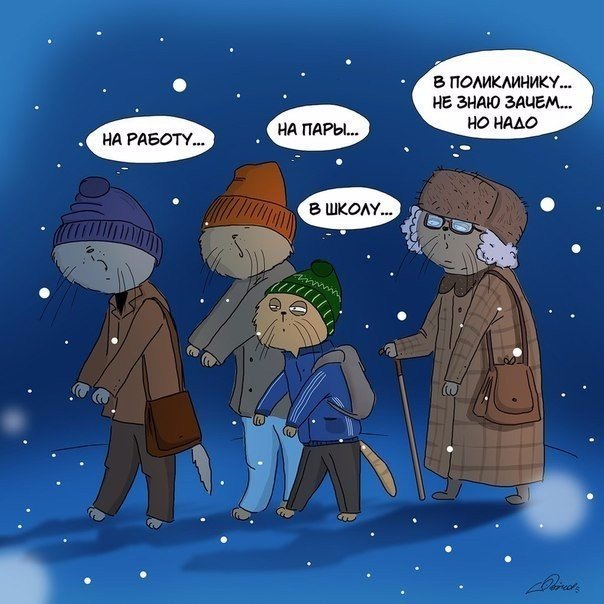 Зимнее утро, оно такое