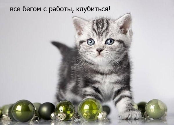 Доброе утро!! Пятница!!