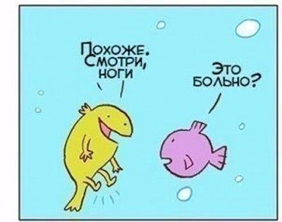 Комикс про эволюцию