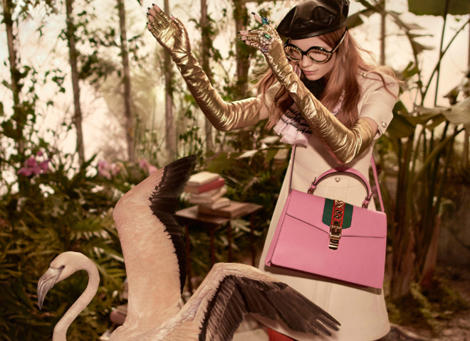 Кампанія Gucci Pre-Fall 2016
