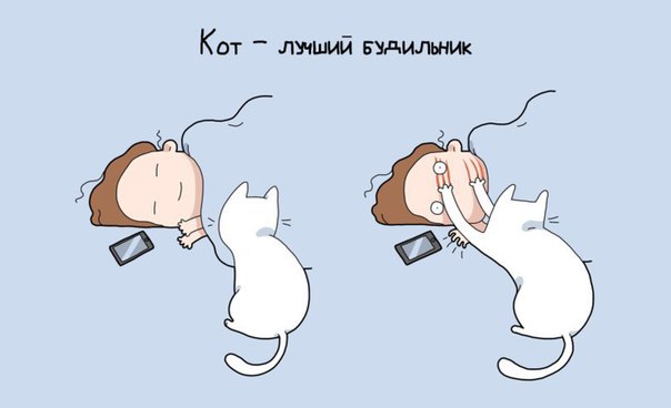 9 причин иметь кота