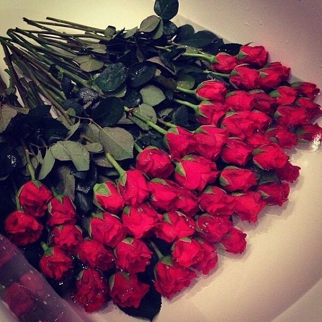 Яна Станішевська