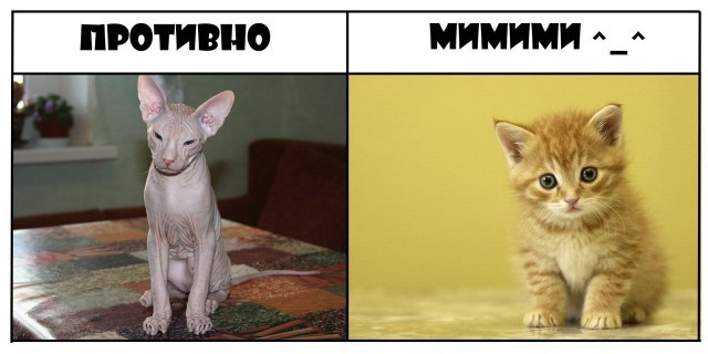 Противно & Мимими