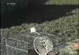 Охота!!!