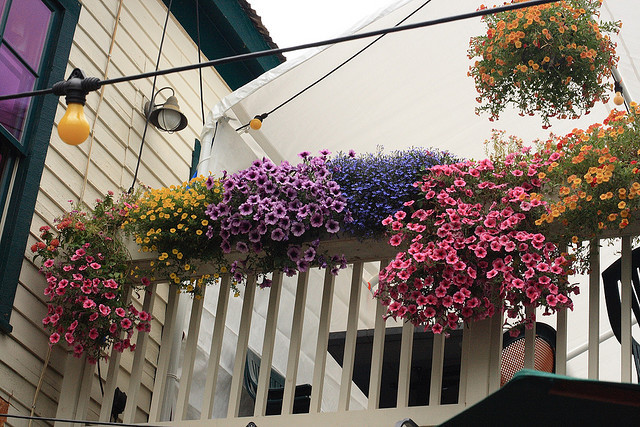 як прикрасити балкон квітами
