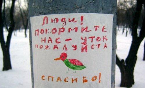 Смешные вывески и обьяснения