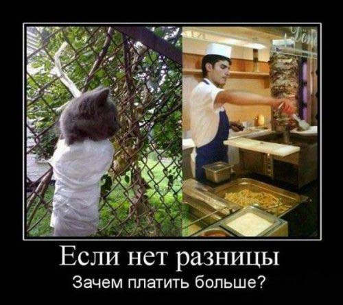 Демотиваторы с юмором