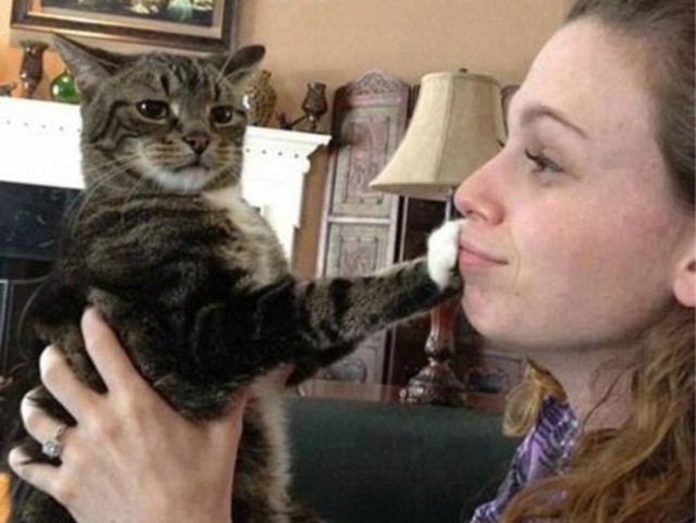 Третий лишний