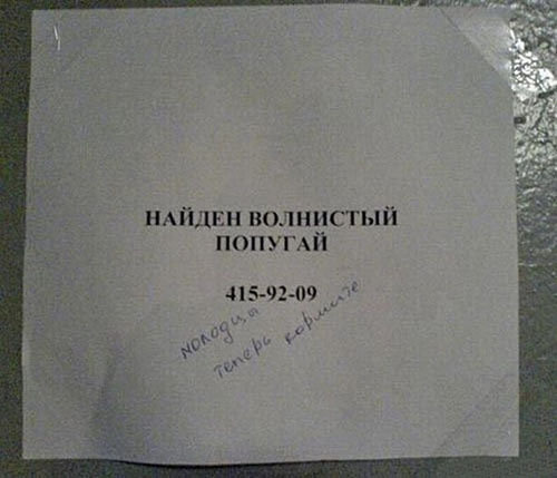 Смешные вывески и объявления