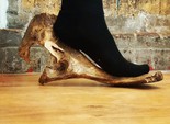 #HeelConcept #HeelConcept