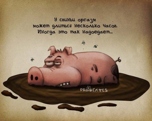 Животный характер