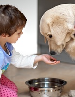 дети и животные