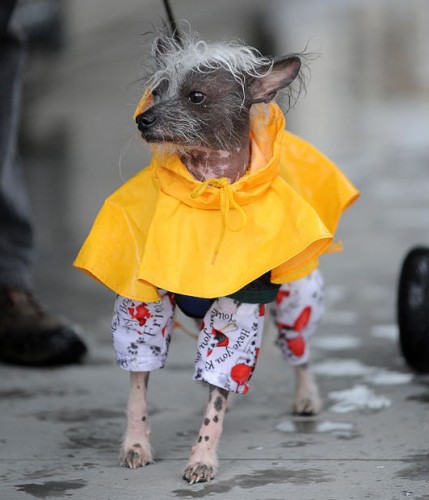 Моднявый ахахаха)