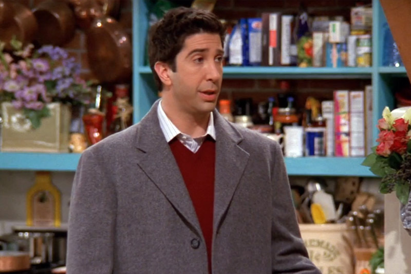 Друзья: Дэвид Швиммер