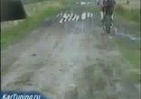 мотокрос