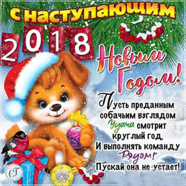 С Наступающим Годом собаки
