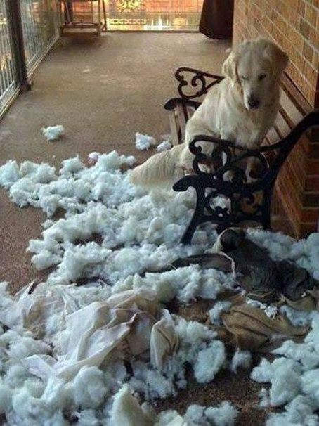 Я просто мимо проходил