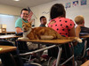 The School Cat