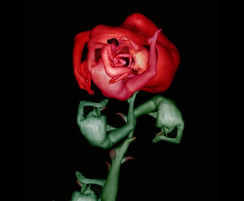 Картины из голых тел