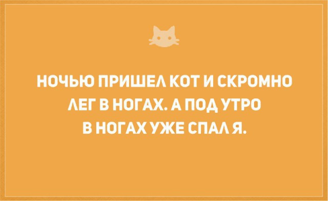 Без кота и жизнь не та
