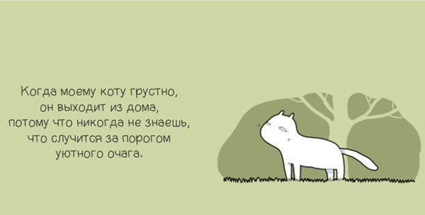 Когда моему коту грустно
