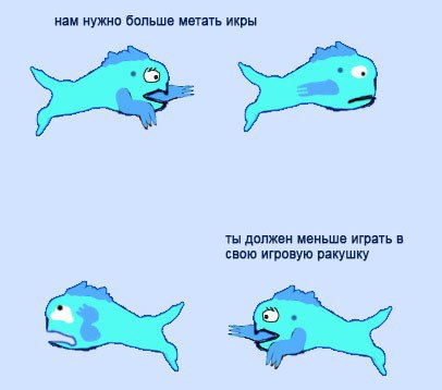 Женщины — причина эволюции