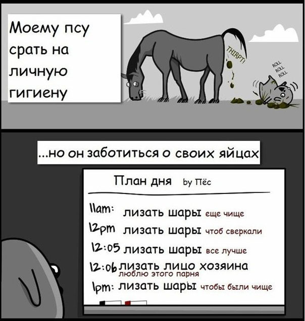 Мой пес - парадокс